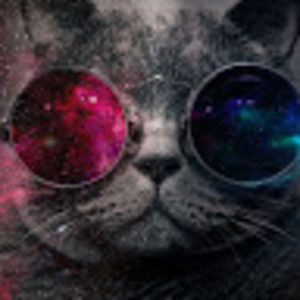 Meet your Posher, Patrickl